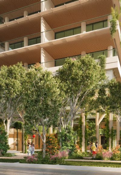 Parkland2